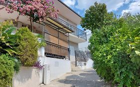 Apartmani Luka